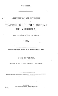 Statistics of of the Coloi~Y Viotoria