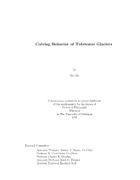 Calving Behavior of Tidewater Glaciers