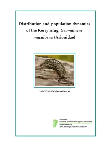 Distribution and Population Dynamics of the Kerry Slug, Geomalacus Maculosus (Arionidae)