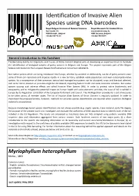 Identification of Invasive Alien Species Using DNA Barcodes