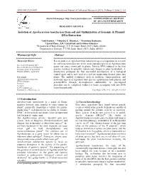Isolation of Agrobacterium Tumefaciens from Soil and Optimization of Genomic & Plasmid DNA Extraction