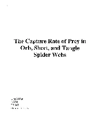 The Capture Kate of Prey in Orb, Sheet, and Tangle Spider Webs