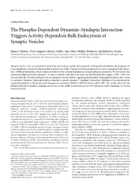 The Phospho-Dependent Dynamin–Syndapin Interaction Triggers Activity-Dependent Bulk Endocytosis of Synaptic Vesicles