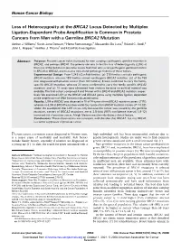 Loss of Heterozygosity at the BRCA2 Locus Detected by Multiplex