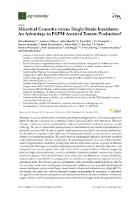 Microbial Consortia Versus Single-Strain Inoculants: an Advantage in PGPM-Assisted Tomato Production?
