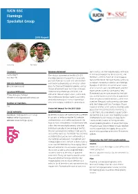 2019 FSG Report