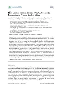 How Leisure Venues Are and Why? a Geospatial Perspective in Wuhan, Central China