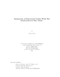 Integration of Functional Oxides with the Semiconductor Zinc Oxide