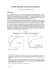 Portfolio Optimization and Long-Term Dependence1