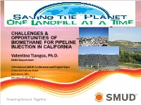 Challenges and Opportunities of Biomethane for Pipeline Injection In