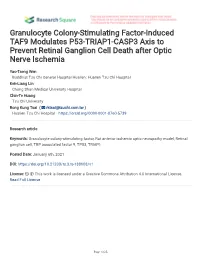 Granulocyte Colony-Stimulating Factor-Induced TAF9 Modulates P53-TRIAP1-CASP3 Axis to Prevent Retinal Ganglion Cell Death After Optic Nerve Ischemia