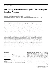 Inbreeding Depression in the Speke's Gazelle Captive Breeding Program