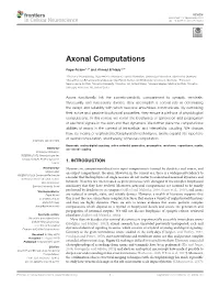 Axonal Computations