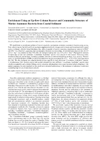 Enrichment Using an Up-Flow Column Reactor and Community Structure of Marine Anammox Bacteria from Coastal Sediment