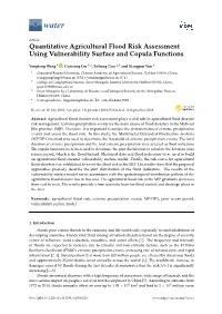 Quantitative Agricultural Flood Risk Assessment Using Vulnerability Surface and Copula Functions