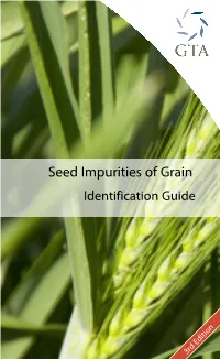 Seed Impurities of Grain Identification Guide