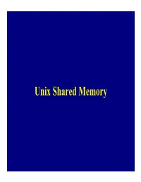 Unix Shared Memory