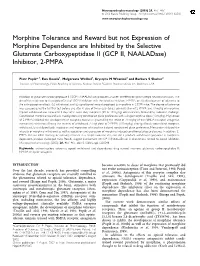 Morphine Tolerance and Reward but Not Expression Of