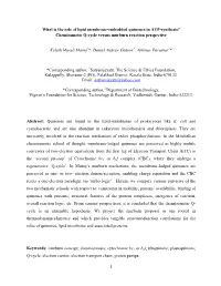 What Is the Role of Lipid Membrane-Embedded Quinones in ATP-Synthesis? Chemiosmotic Q-Cycle Versus Murburn Reaction Perspective