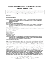 C:\Documents and Settings\Alan Smithee\My Documents\MOTM