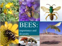 Importance and Diversity