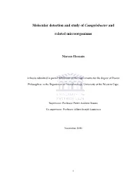 Molecular Detection and Study of Campylobacter and Related