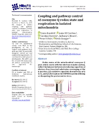 Coupling and Pathway Control of Coenzyme Q Redox State
