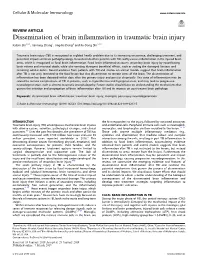 Dissemination of Brain Inflammation in Traumatic Brain Injury