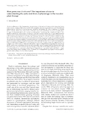 How Green Was Cooksonia? the Importance of Size in Understanding the Early Evolution of Physiology in the Vascular Plant Lineage