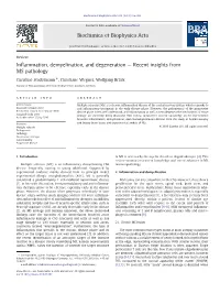 Inflammation, Demyelination, and Degeneration