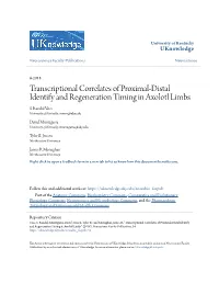 Transcriptional Correlates of Proximal-Distal Identify and Regeneration Timing in Axolotl Limbs S