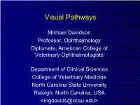 Visual Pathways