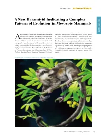 213 a New Haramiyid Indicating a Complex Pattern of Evolution In