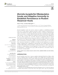 Borrelia Burgdorferi Manipulates Innate and Adaptive Immunity to Establish Persistence in Rodent Reservoir Hosts