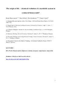 Chemical Evolution of a Metabolic System in a Mineral