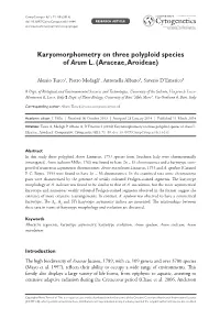Karyomorphometry on Three Polyploid Species of Arum L. (Araceae, Aroideae)