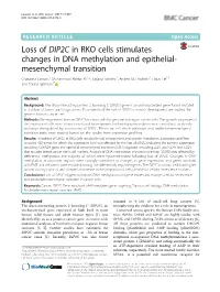 Loss of DIP2C in RKO Cells Stimulates Changes in DNA