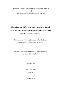 Migration and Differentiation of Murine Germinal Center Derived B Cell Subsets in the Course of the NP- Specific Immune Response