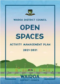 Open Spaces Activity Management Plan