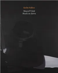 Marcel Vidal Stuck on Dawn