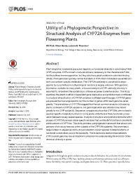 Utility of a Phylogenetic Perspective in Structural Analysis of CYP72A Enzymes from Flowering Plants