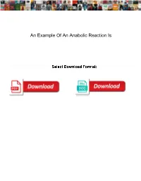 An Example of an Anabolic Reaction Is