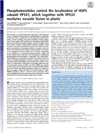 Phosphoinositides Control the Localization of HOPS Subunit VPS41, Which Together with VPS33 Mediates Vacuole Fusion in Plants