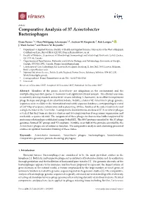 Comparative Analysis of 37 Acinetobacter Bacteriophages