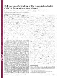 Cell-Type-Specific Binding of the Transcription Factor CREB to the Camp-Response Element