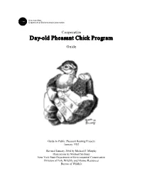 Day-Old Pheasant Chick Program Guide