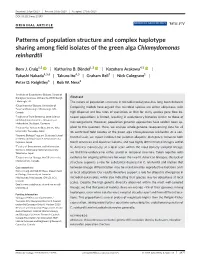 Patterns of Population Structure and Complex Haplotype Sharing Among Field Isolates of the Green Alga Chlamydomonas Reinhardtii