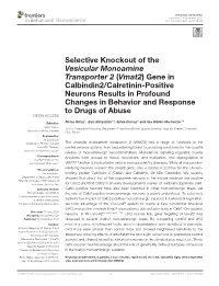 Selective Knockout of the Vesicular Monoamine Transporter 2 (Vmat2)
