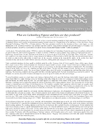 Lichtenberg Figures and How Are They Produced? Copyright Stoneridge Engineering, 1999-2004, Updated 8/15/04