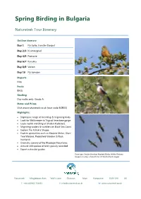 Spring Birding in Bulgaria
